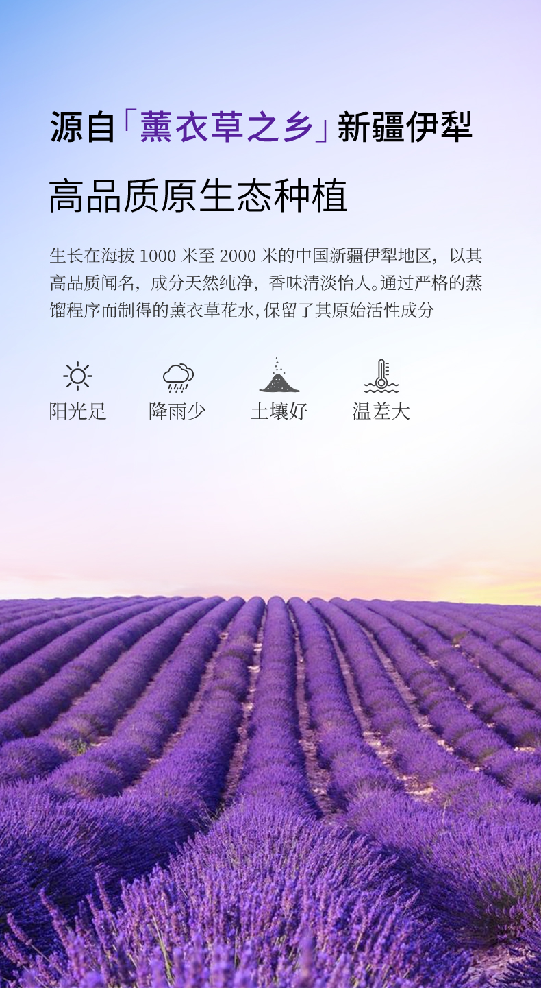 綠色農(nóng)場(chǎng)薰衣草花水241228_05.jpg