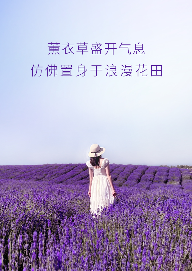 綠色農(nóng)場(chǎng)薰衣草花水241228_07.jpg