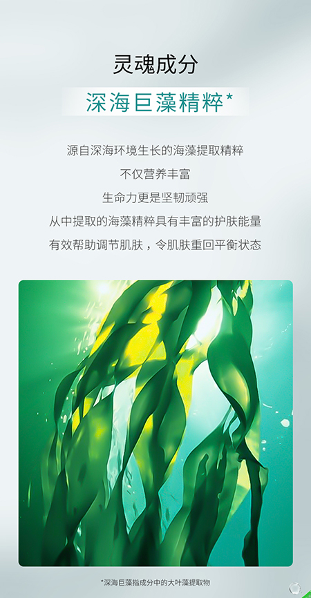 海藻潔面_06.jpg